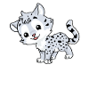 Léopard des neiges bébé