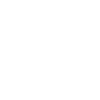 Maman Border Collie
