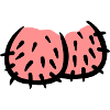 Penis