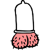 Penis
