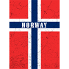 Drapeau norvégien