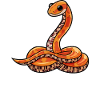 Corn Snake Corn Snake Gift Snake