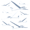 Cross country glider gaggle