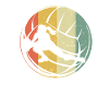 Retro Volleyball