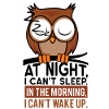 Owl night owl sleep sleep bed morning night