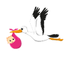Stork flyr med baby jente gave