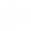 Malinois Kopf
