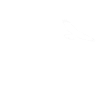 free bird
