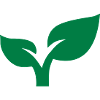 Plante