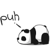 Tired Panda Phew