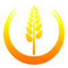 Grain