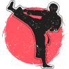 Karate kick martial arts