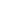 Craftsman craftsman craft