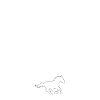 Girl Who Loves Horses Rider Girl Horses