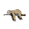 Sloth