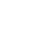 Funny Goose shirt saying
