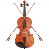 Violin with bows