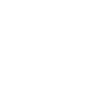 craftsman