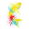 Koi