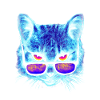 Sommer Katze Sonnenbrille Faszination Geschenk