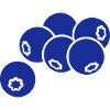 Blaubeere