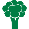 Brocoli