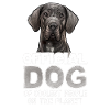 Chien Dogue Allemand