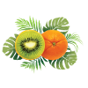 orange Kiwi-Shirt