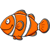 Clownfisch