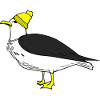 Coole Möwe