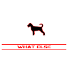 Dobermann what else