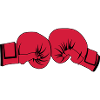 Boxhandschuhe