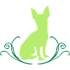 Kurzhaar Chihuahua