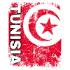 TUNISIA FLAG Tunisian flag great retro