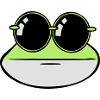 Frog funny sunglasses