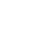 Moon planet celestial body