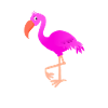 Équipe Flamingo