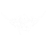 Highland Cattle