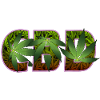 CBD