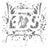 EDS Zebra Ehlers Danlos syndrome