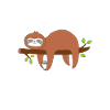 Sloth coffee caffeine