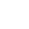 automobile
