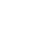 The king