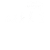 Evolution