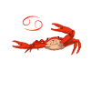 Zodiac Cancer Cancer