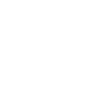 DINOSAURES