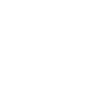 Falling cruise ship