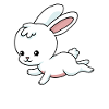 Little bunny