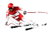 ski slalom