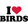 I love birds